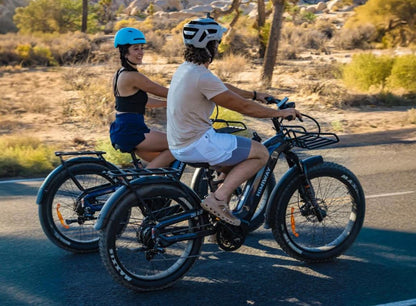 Himiway D5 2.0 Electric Bike